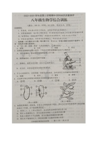 广东省化州市2022-2023学年八年级下学期期中考试生物试题