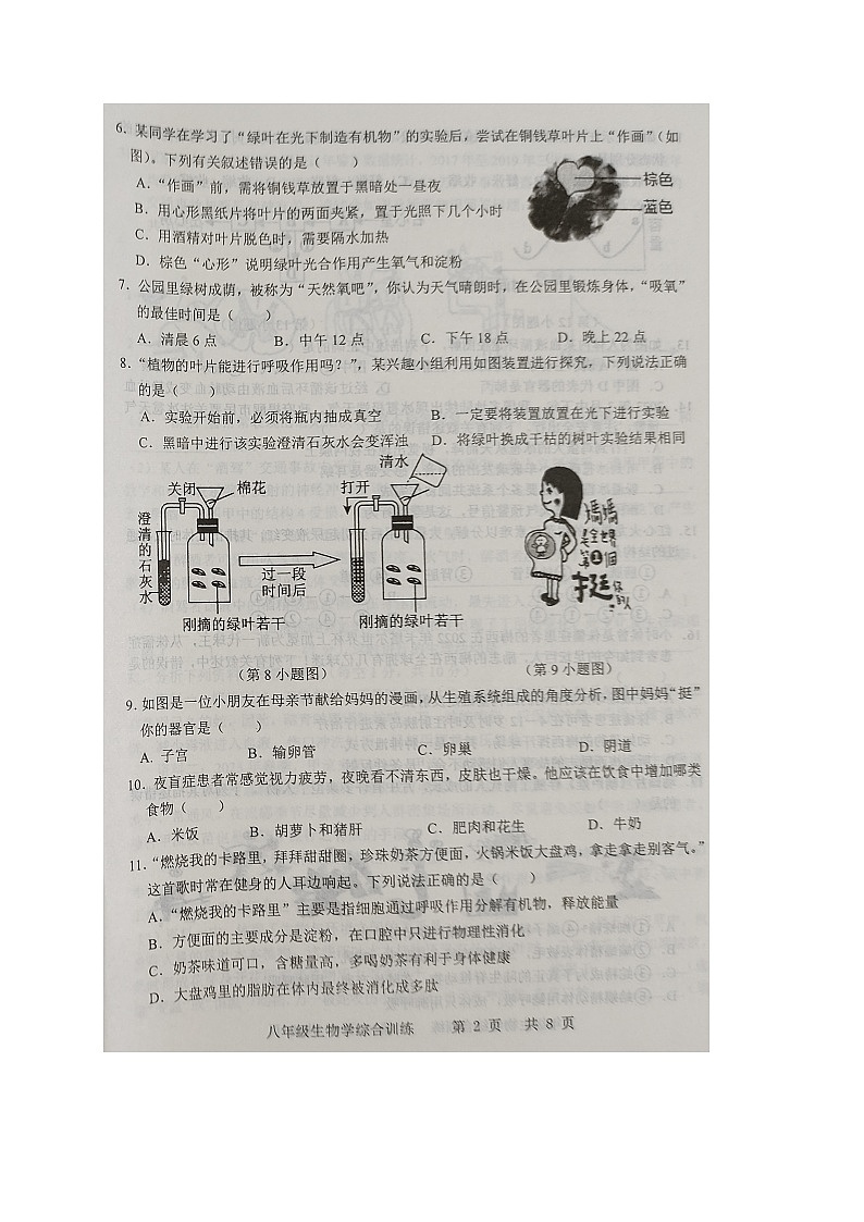 广东省化州市2022-2023学年八年级下学期期中考试生物试题02