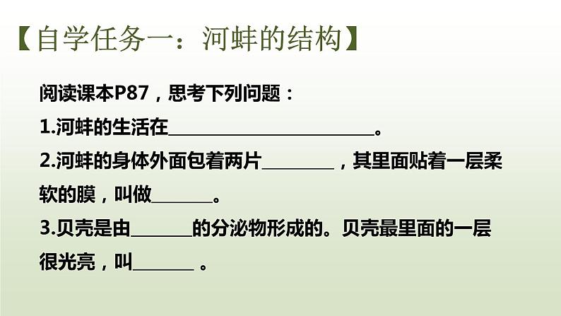 1.4.4软体动物课件PPT05