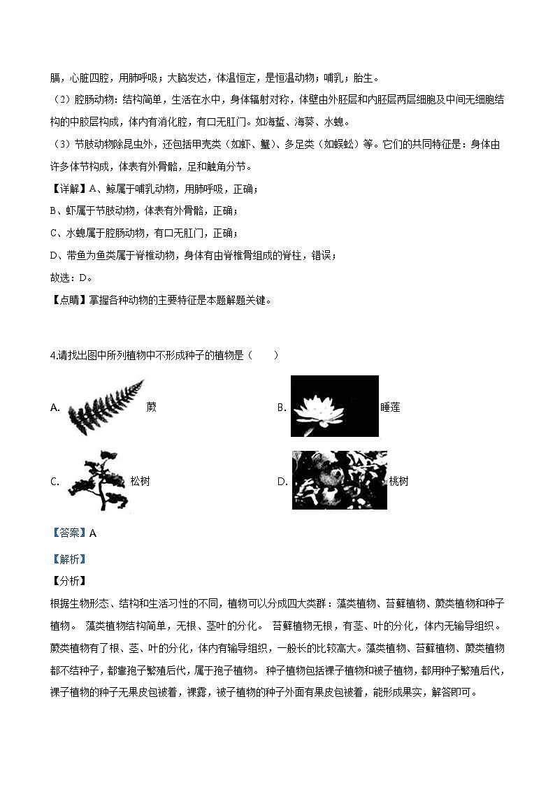 2018年北京市房山区中考二模生物试卷（含解析）03