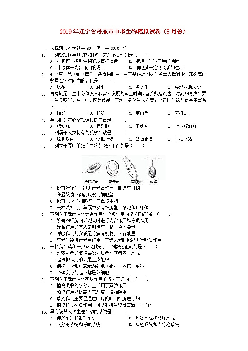 辽宁省丹东市2019年中考生物模拟试卷（5月份）（含解析）01