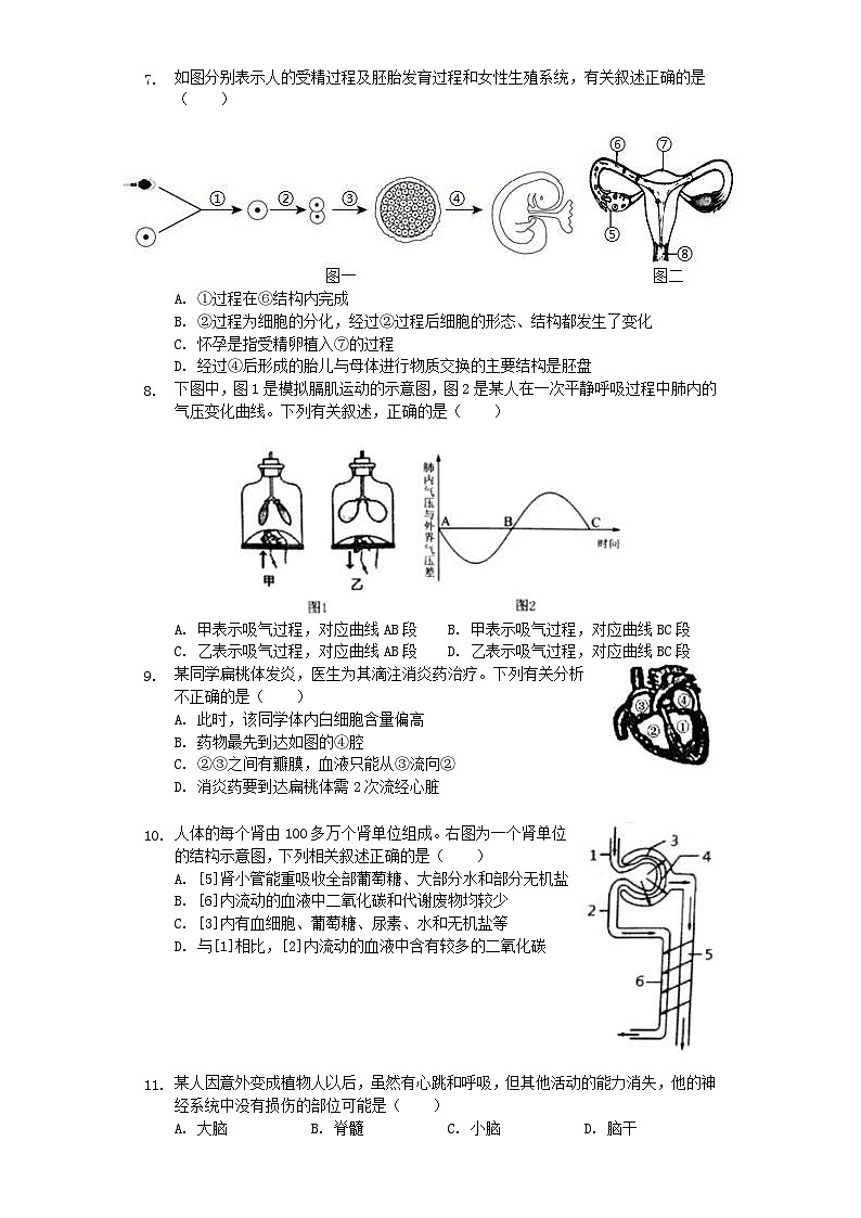 山东省聊城市莘县2019年中考生物二模试卷（含解析）02