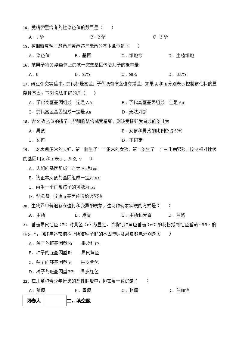 中考生物一轮复习训练卷专题22 生物的遗传与变异（含解析）第3页