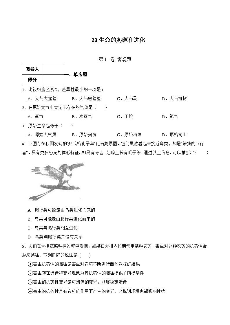 中考生物一轮复习训练卷专题23 生命的起源和进化（含解析）第1页