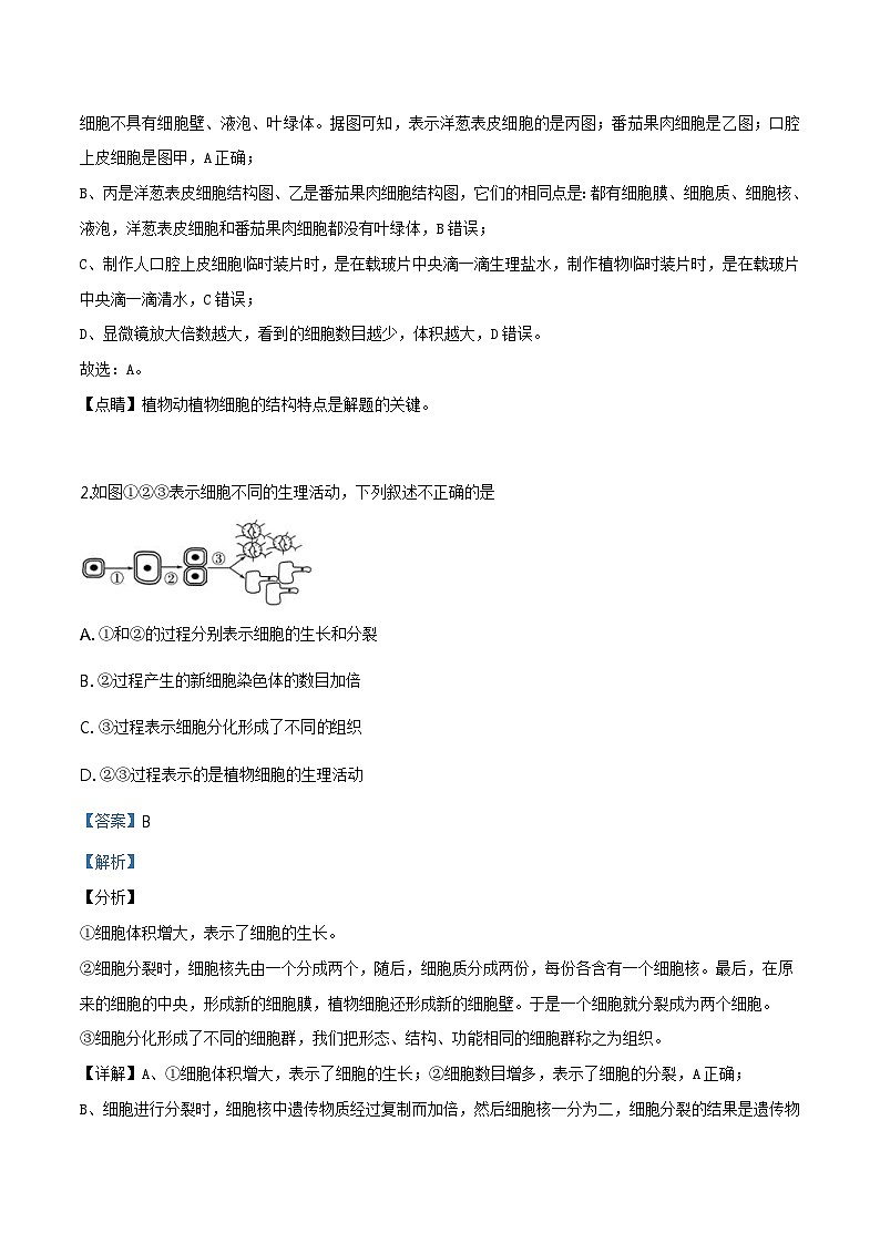 2018年北京市通州区一模生物试题（含解析）02