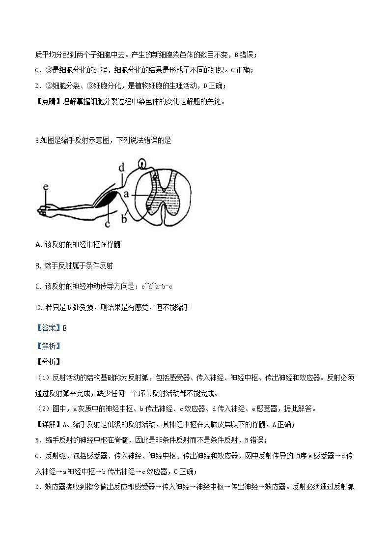 2018年北京市通州区一模生物试题（含解析）03