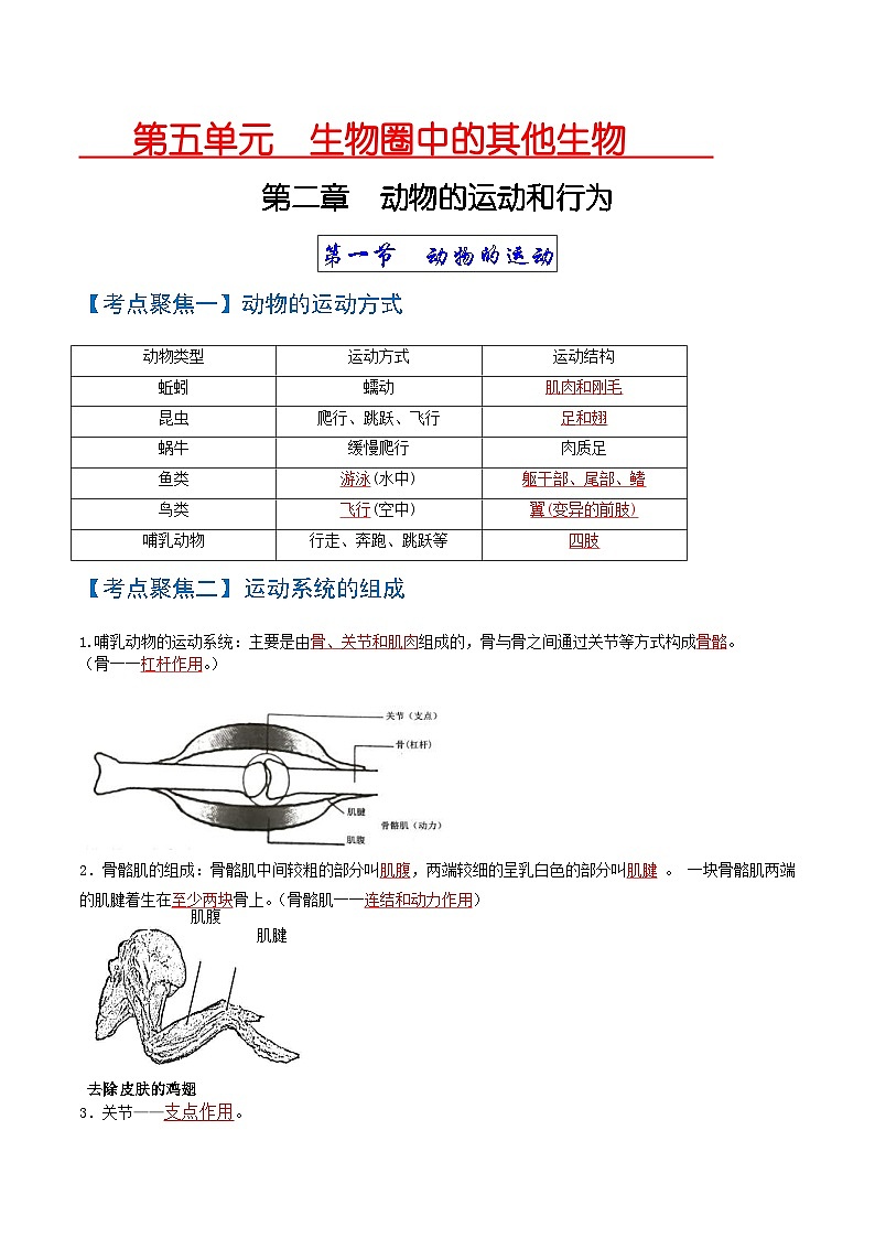 中考生物一轮复习知识点梳理考点 动物的运动和行为、动物在生物圈中的作用第1页