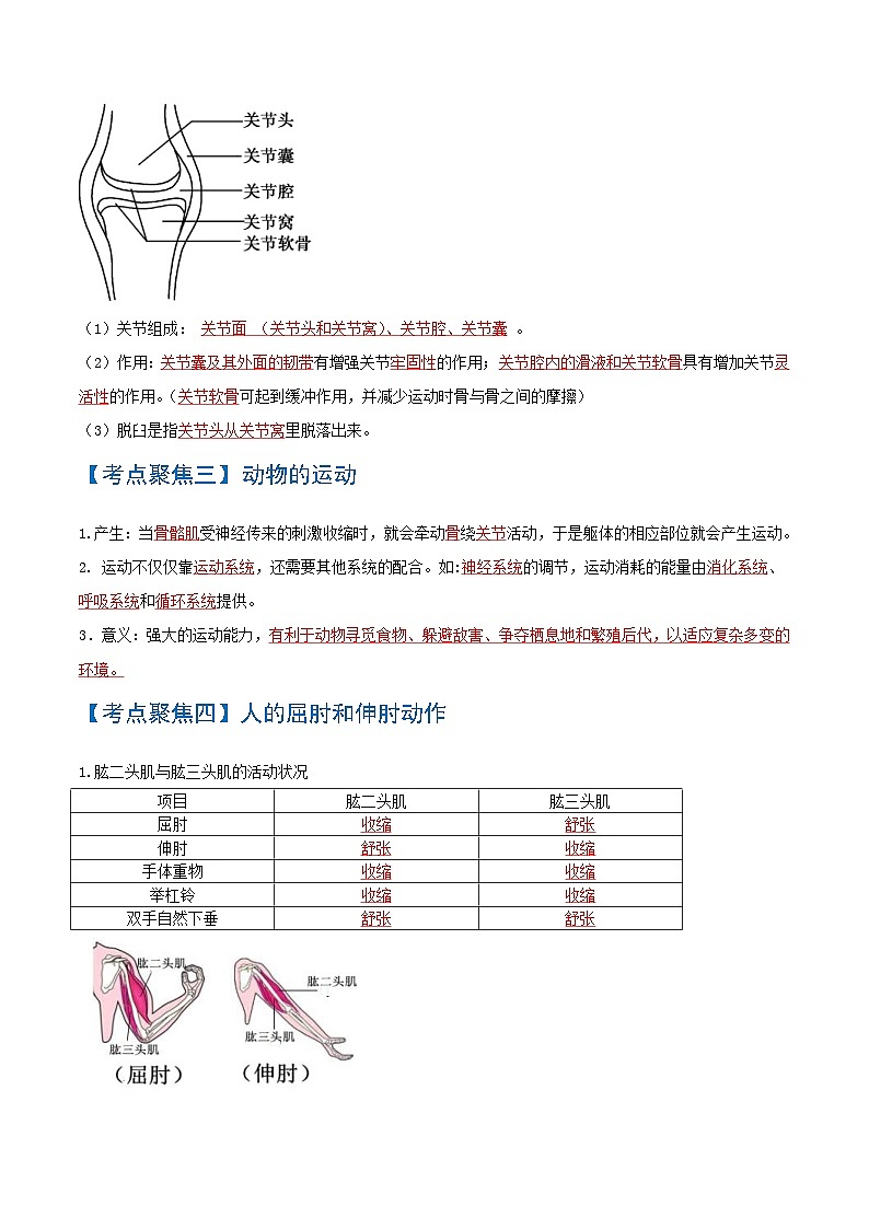 中考生物一轮复习知识点梳理考点 动物的运动和行为、动物在生物圈中的作用第2页