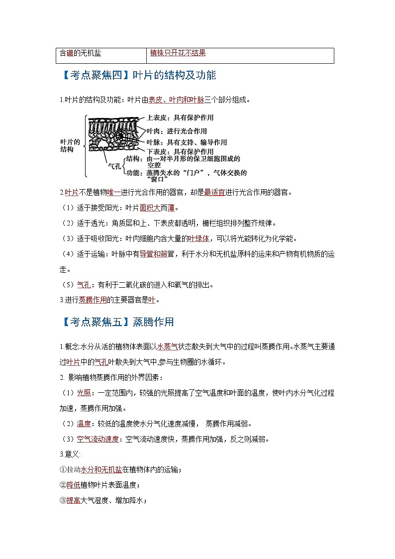 中考生物一轮复习知识点梳理考点 绿色植物的三大生理作用第2页
