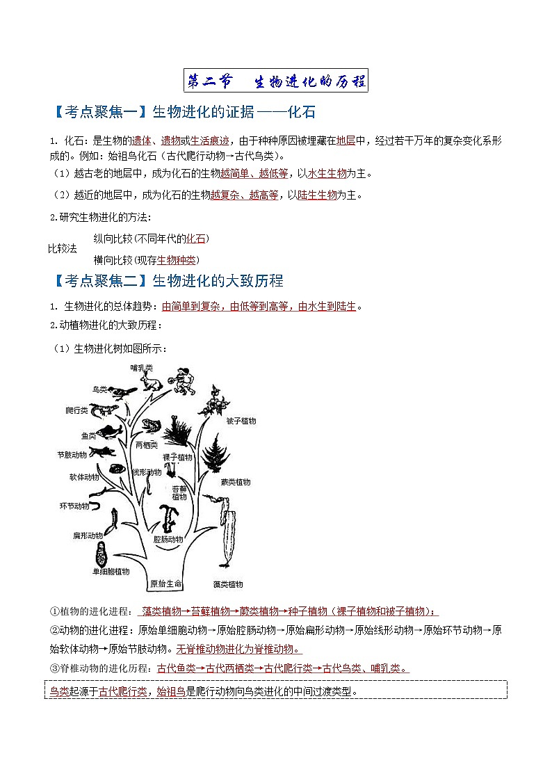 中考生物一轮复习知识点梳理考点 生命起源和生物进化02