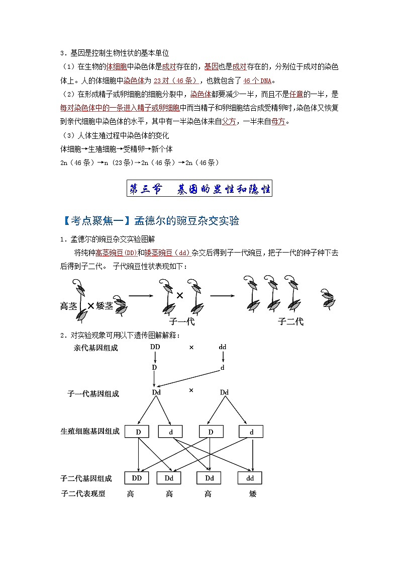 中考生物一轮复习知识点梳理考点 生物的遗传与变异第3页