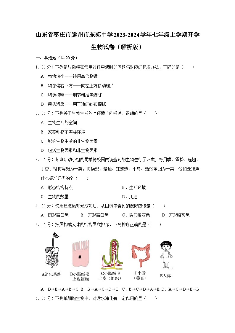 山东省枣庄市滕州市东郭中学2023-2024学年七年级上学期开学生物试卷（含答案）01