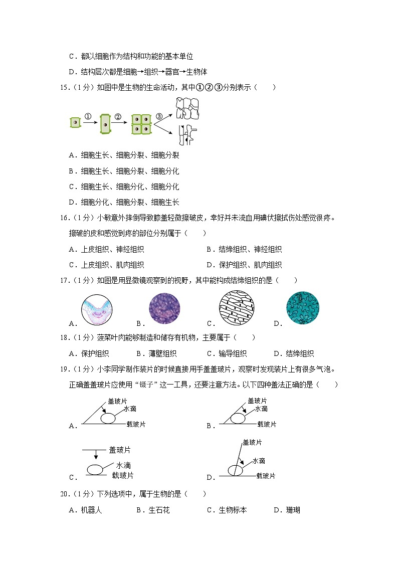 山东省枣庄市滕州市东郭中学2023-2024学年七年级上学期开学生物试卷（含答案）03