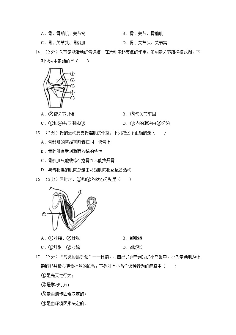 广东省江门市蓬江区虎岭中学2020-2021学年八年级上学期期中生物试卷03