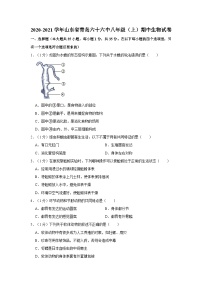 山东省青岛市第六十六中学2020-2021学年八年级上学期期中生物试卷