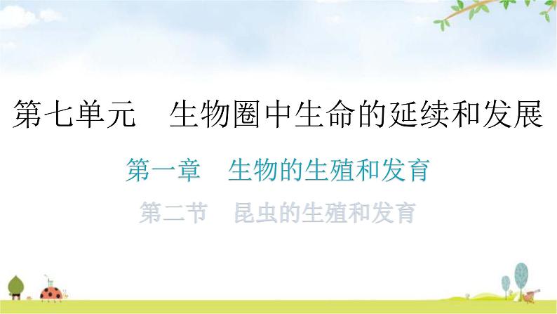 人教版八年级生物下册第七单元第一章第二节昆虫的生殖和发育教学课件01