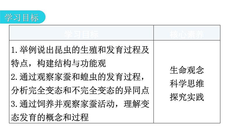 人教版八年级生物下册第七单元第一章第二节昆虫的生殖和发育教学课件03