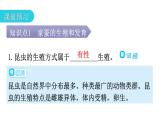 人教版八年级生物下册第七单元第一章第二节昆虫的生殖和发育教学课件