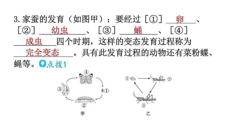 人教版八年级生物下册第七单元第一章第二节昆虫的生殖和发育教学课件06