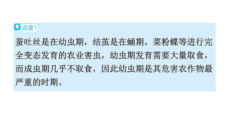 人教版八年级生物下册第七单元第一章第二节昆虫的生殖和发育教学课件07