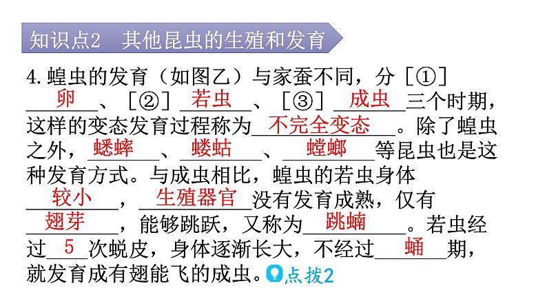 人教版八年级生物下册第七单元第一章第二节昆虫的生殖和发育教学课件08