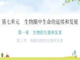 人教版八年级生物下册第七单元第一章第三节两栖动物的生殖和发育教学课件