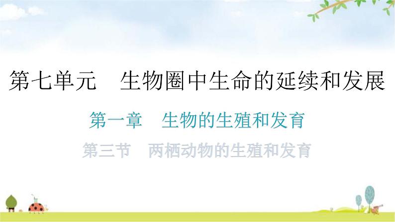 人教版八年级生物下册第七单元第一章第三节两栖动物的生殖和发育教学课件01