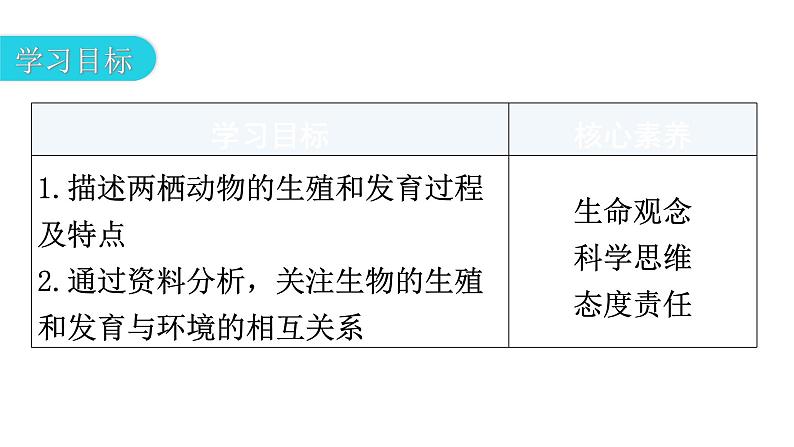 人教版八年级生物下册第七单元第一章第三节两栖动物的生殖和发育教学课件03