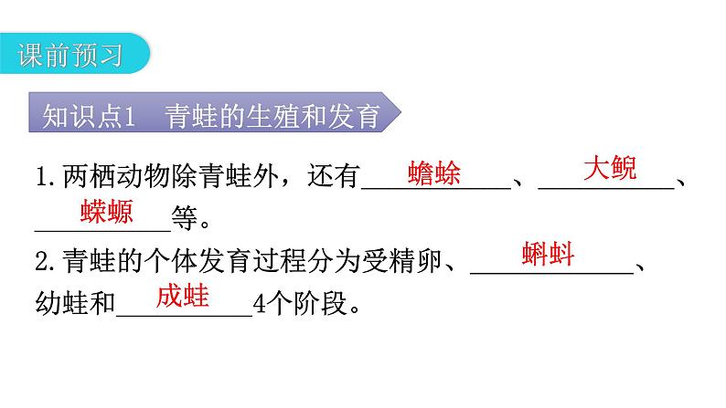 人教版八年级生物下册第七单元第一章第三节两栖动物的生殖和发育教学课件04