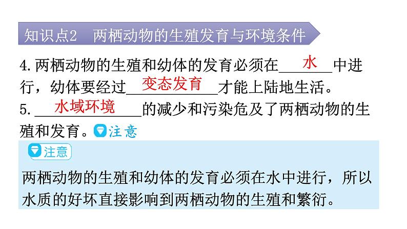 人教版八年级生物下册第七单元第一章第三节两栖动物的生殖和发育教学课件07