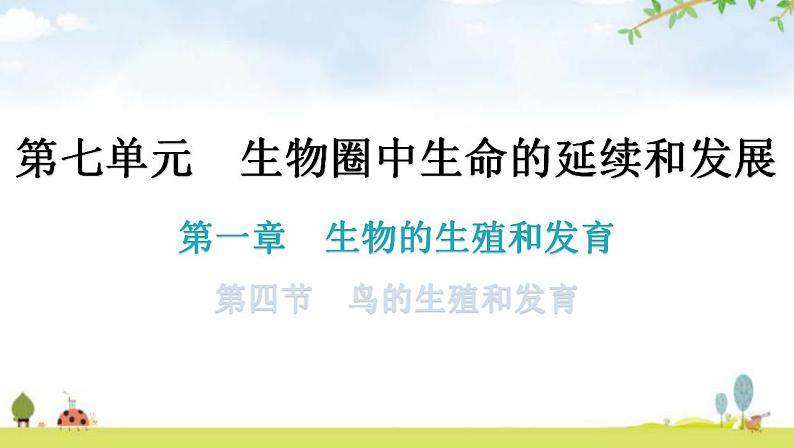 人教版八年级生物下册第七单元第一章第四节鸟的生殖和发育教学课件01