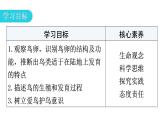 人教版八年级生物下册第七单元第一章第四节鸟的生殖和发育教学课件