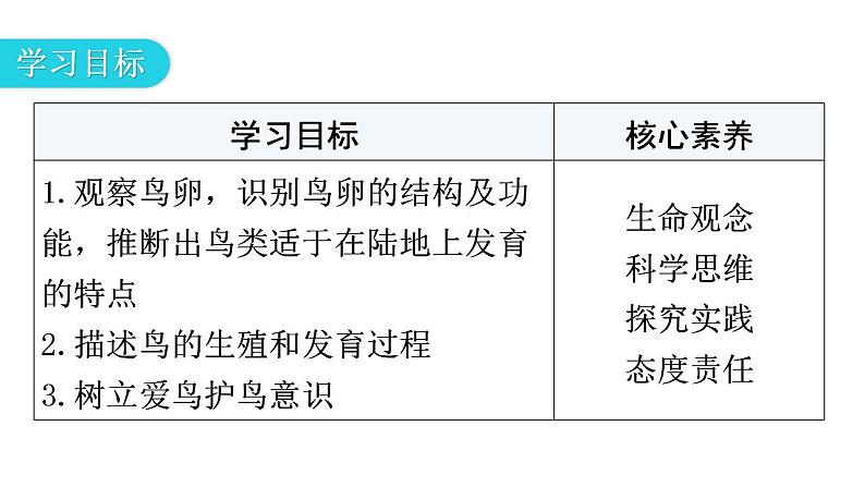 人教版八年级生物下册第七单元第一章第四节鸟的生殖和发育教学课件03