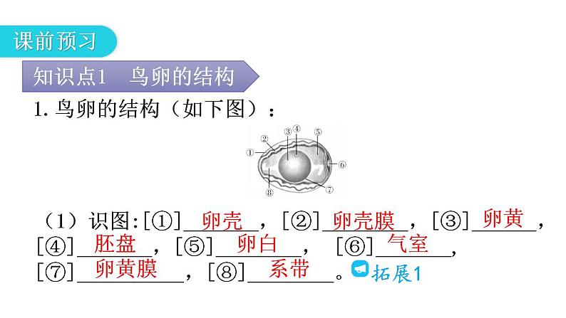 人教版八年级生物下册第七单元第一章第四节鸟的生殖和发育教学课件04