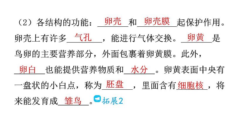 人教版八年级生物下册第七单元第一章第四节鸟的生殖和发育教学课件06