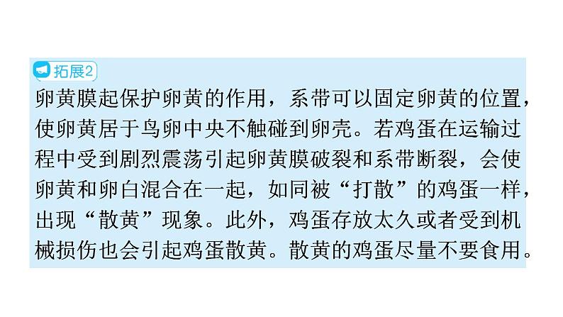 人教版八年级生物下册第七单元第一章第四节鸟的生殖和发育教学课件07