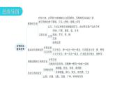 人教版八年级生物下册第七单元第一章章末总结教学课件