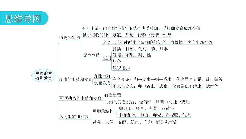 人教版八年级生物下册第七单元第一章章末总结教学课件03