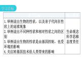 人教版八年级生物下册第七单元第二章第一节基因控制生物的性状教学课件
