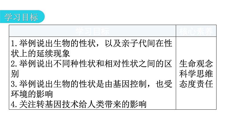 人教版八年级生物下册第七单元第二章第一节基因控制生物的性状教学课件第3页