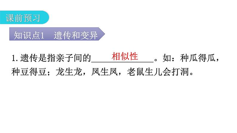 人教版八年级生物下册第七单元第二章第一节基因控制生物的性状教学课件第4页