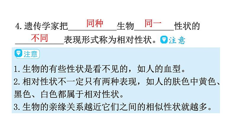 人教版八年级生物下册第七单元第二章第一节基因控制生物的性状教学课件第7页