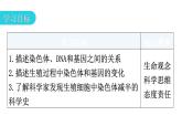 人教版八年级生物下册第七单元第二章第二节基因在亲子代间的传递教学课件