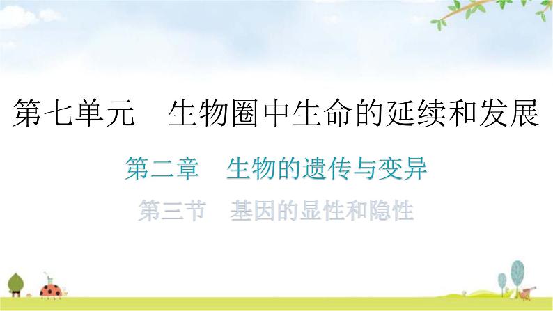 人教版八年级生物下册第七单元第二章第三节基因的显性和隐性教学课件第1页