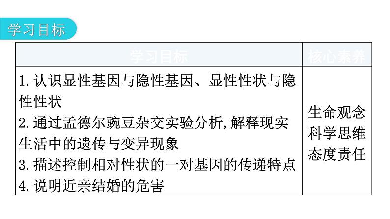 人教版八年级生物下册第七单元第二章第三节基因的显性和隐性教学课件第3页