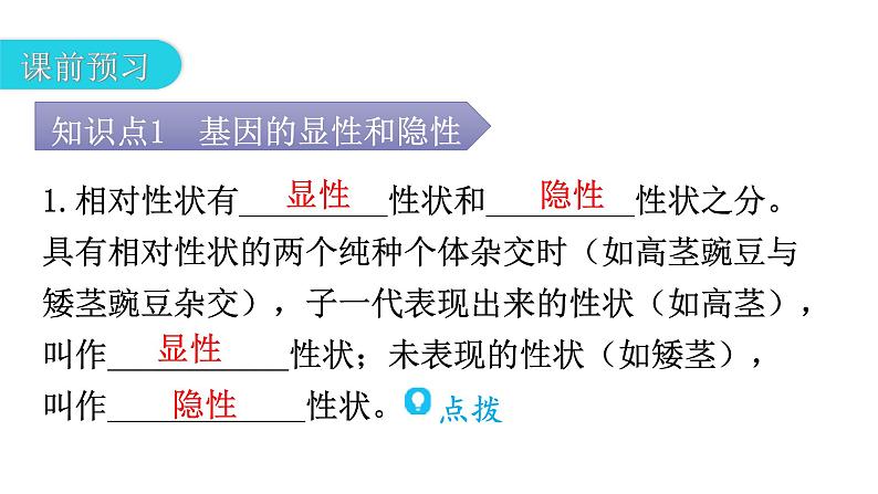 人教版八年级生物下册第七单元第二章第三节基因的显性和隐性教学课件第4页