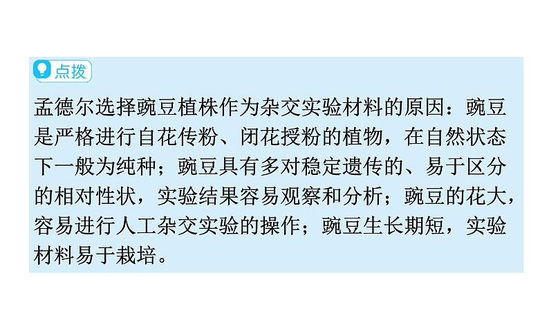 人教版八年级生物下册第七单元第二章第三节基因的显性和隐性教学课件第5页