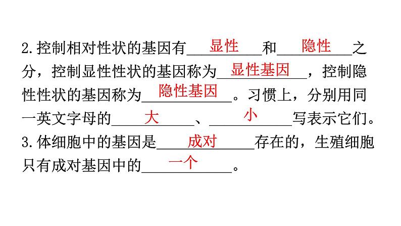 人教版八年级生物下册第七单元第二章第三节基因的显性和隐性教学课件第6页