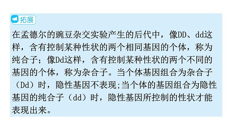 人教版八年级生物下册第七单元第二章第三节基因的显性和隐性教学课件第8页