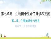 人教版八年级生物下册第七单元第二章第四节人的性别遗传教学课件